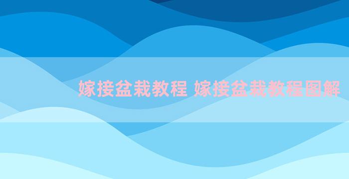 嫁接盆栽教程 嫁接盆栽教程图解